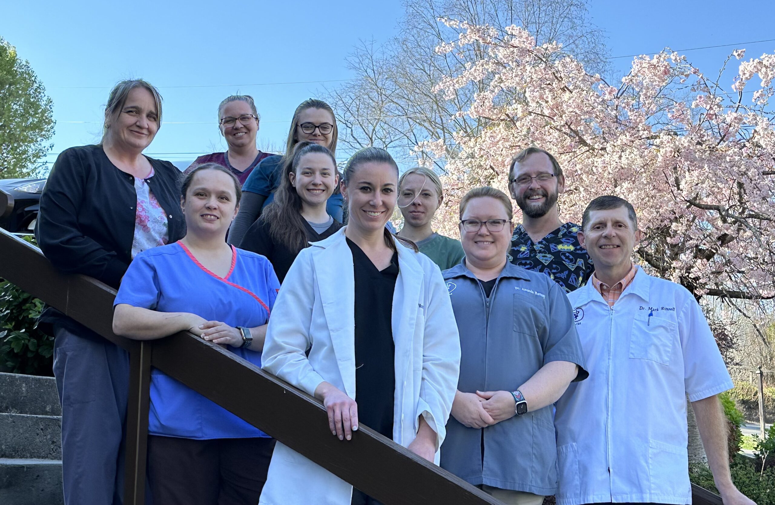 Meet Our Team